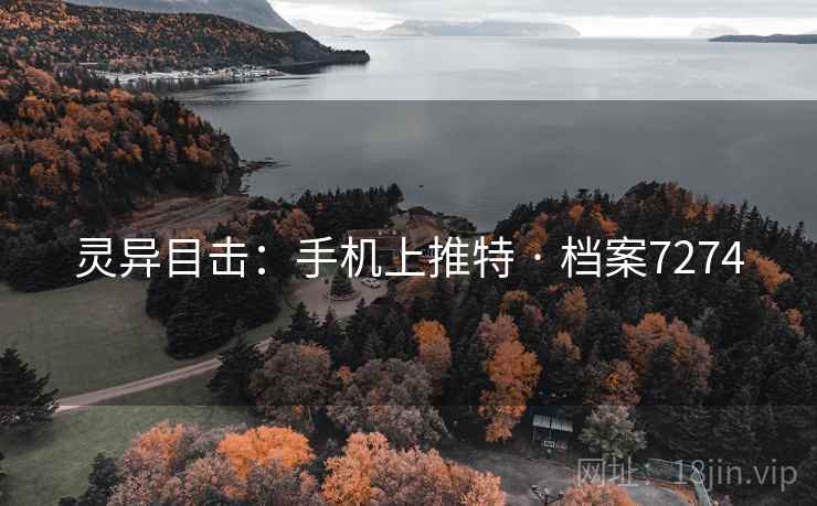 灵异目击：手机上推特 · 档案7274