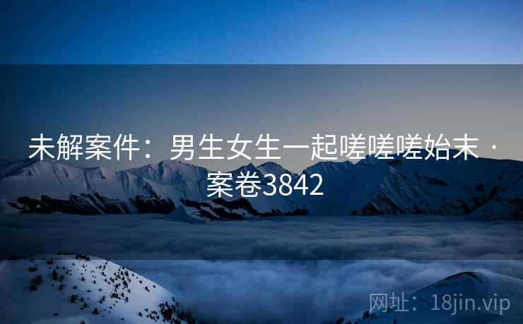 未解案件：男生女生一起嗟嗟嗟始末 · 案卷3842  第2张