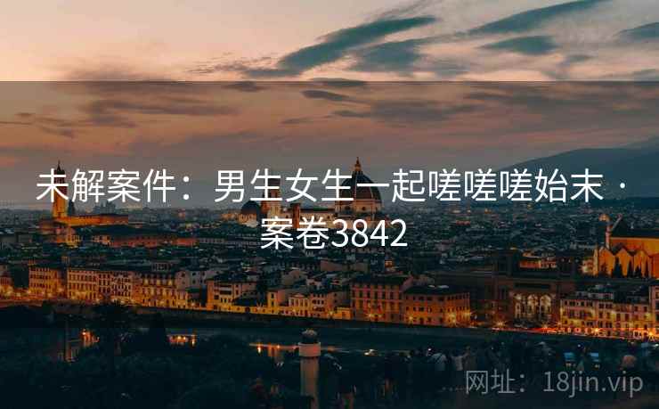 未解案件：男生女生一起嗟嗟嗟始末 · 案卷3842  第1张
