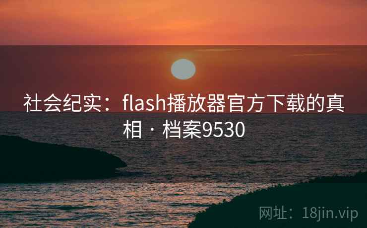 社会纪实：flash播放器官方下载的真相 · 档案9530  第1张