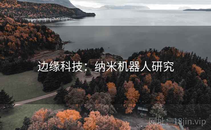 边缘科技：纳米机器人研究