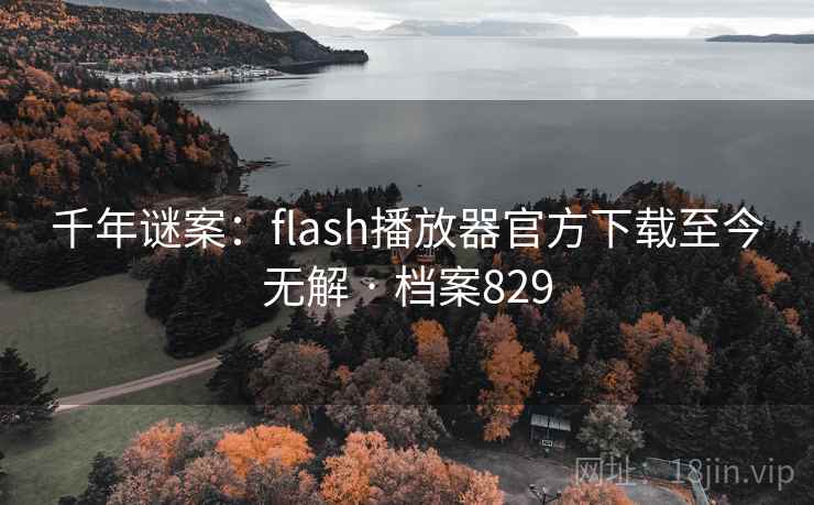 千年谜案：flash播放器官方下载至今无解 · 档案829