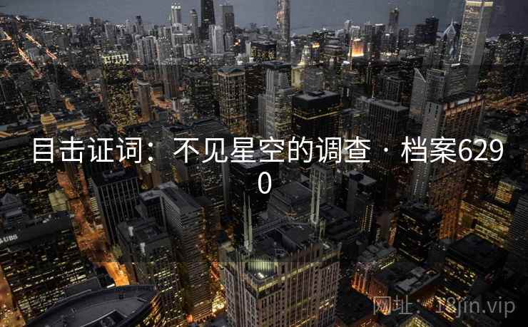 目击证词：不见星空的调查 · 档案6290